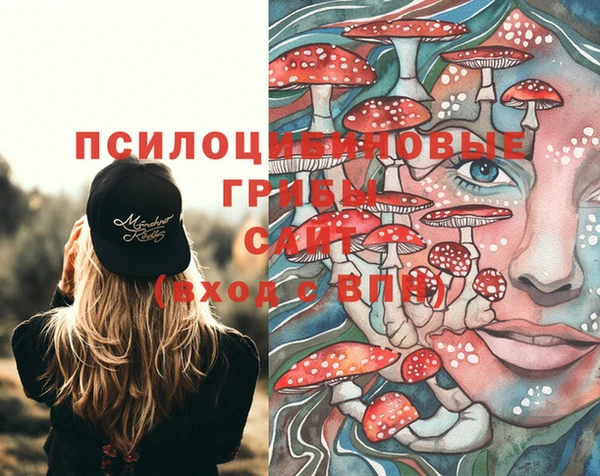 мяу мяу мука Арсеньев