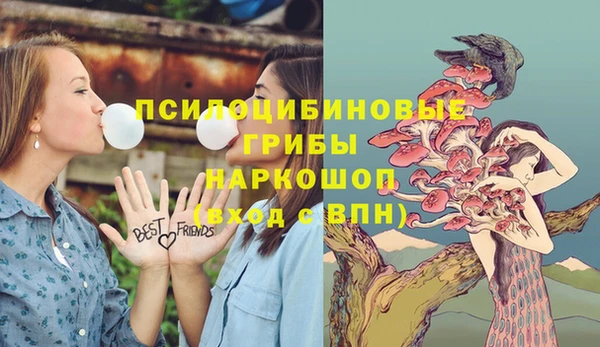 винт Армянск