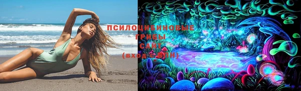 мяу мяу мука Арсеньев