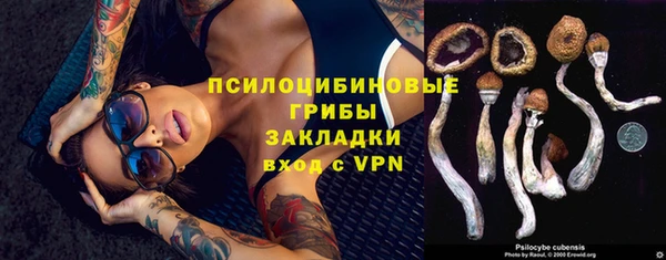 прущие крисы Аркадак